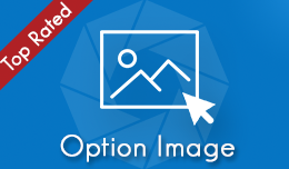 Option Image