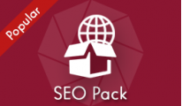 SEO Pack